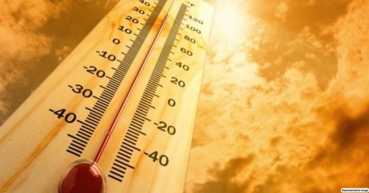 US: Extreme heat kills 147 people in 5 counties